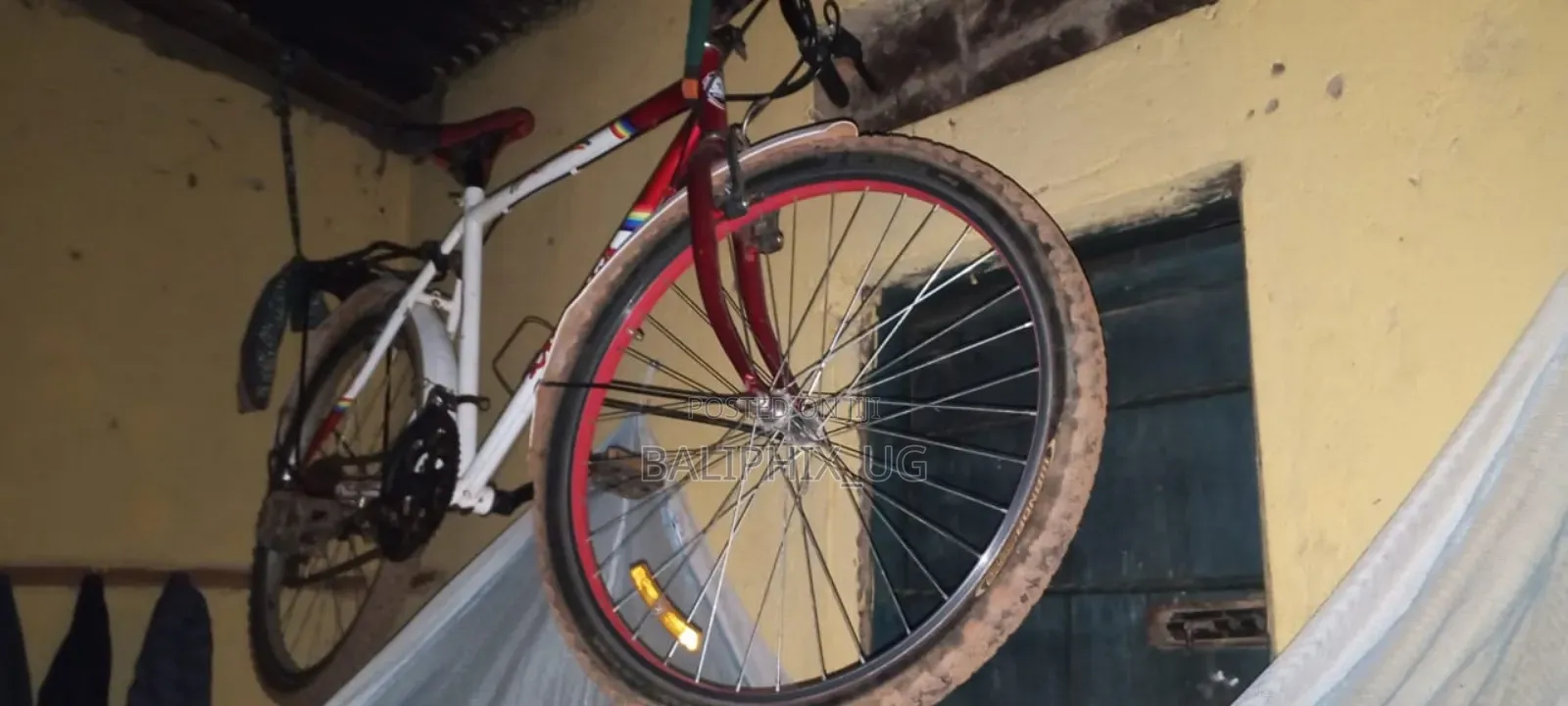 Challenger Bicycle