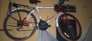Challenger Bicycle