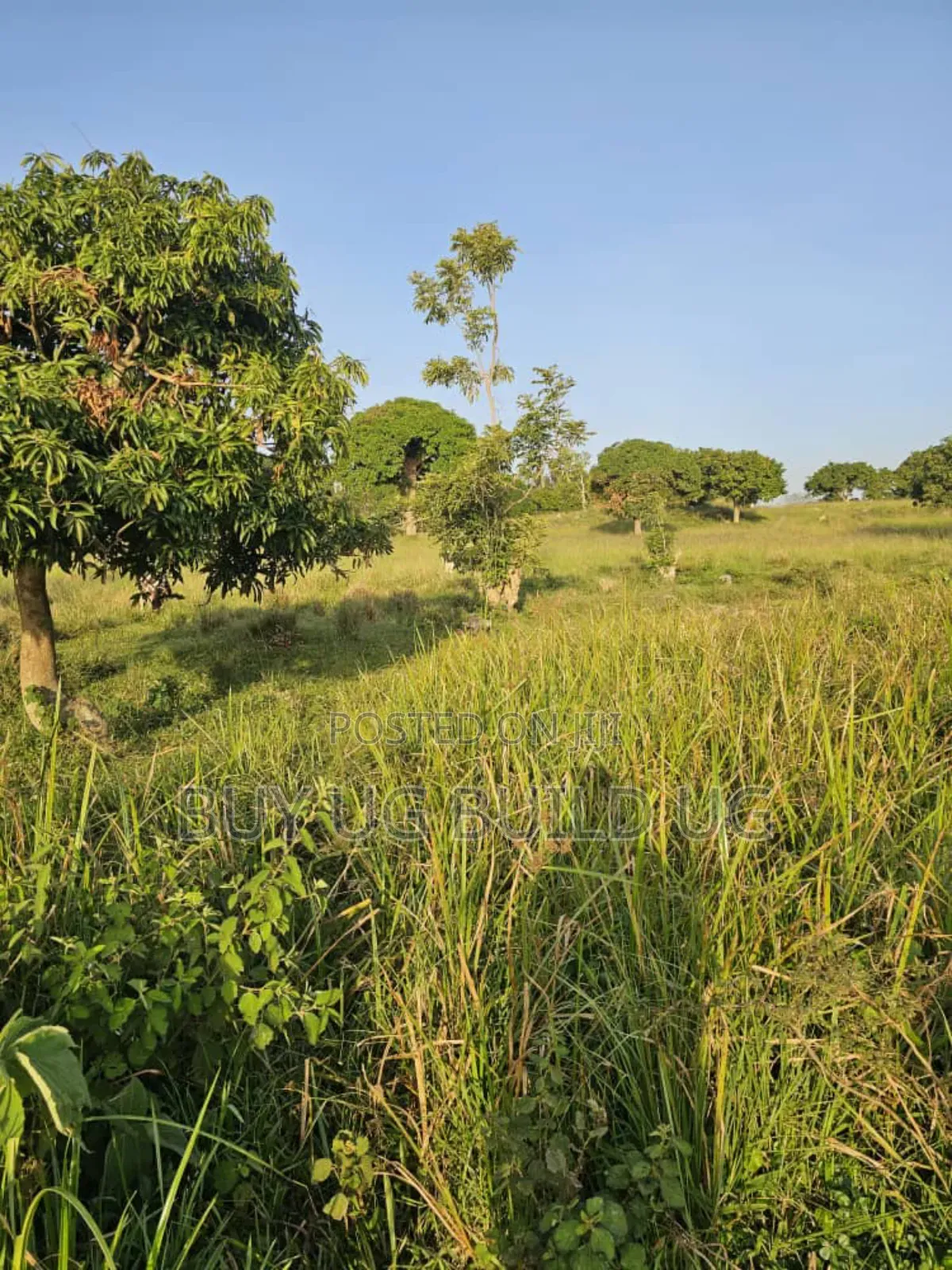 Land For Sale Along Entebbe Road Garuga Size: 10 Acres 700m Ugx Per