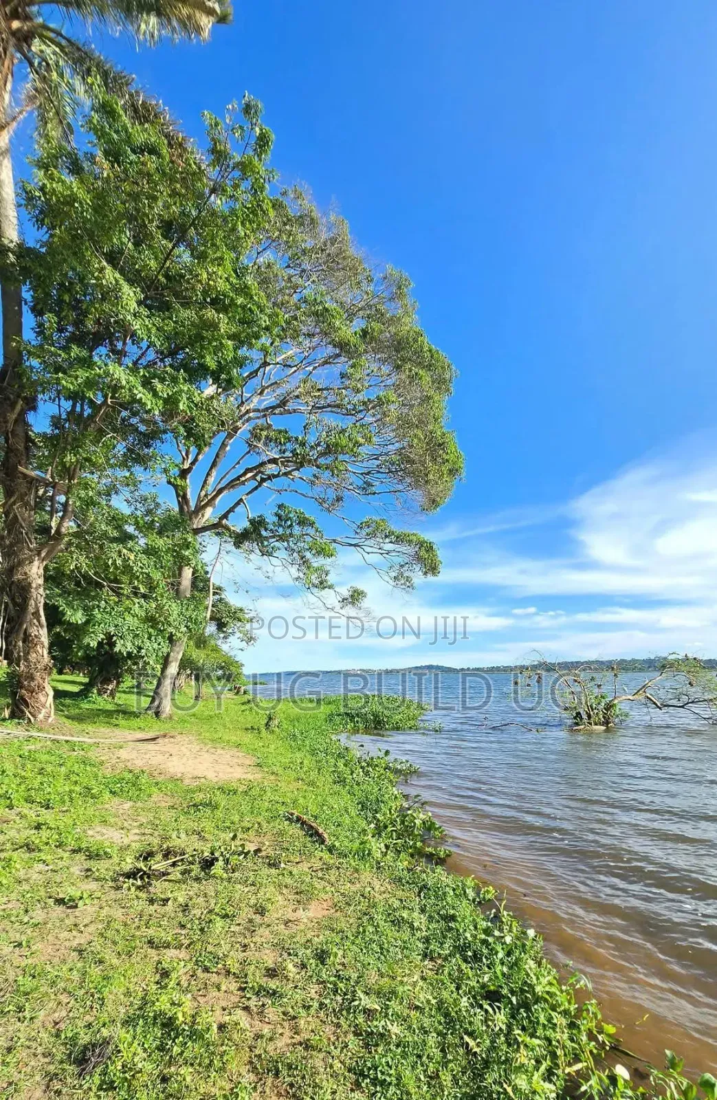 Land for Sale Kawuku Bugiri 650m Ugx)