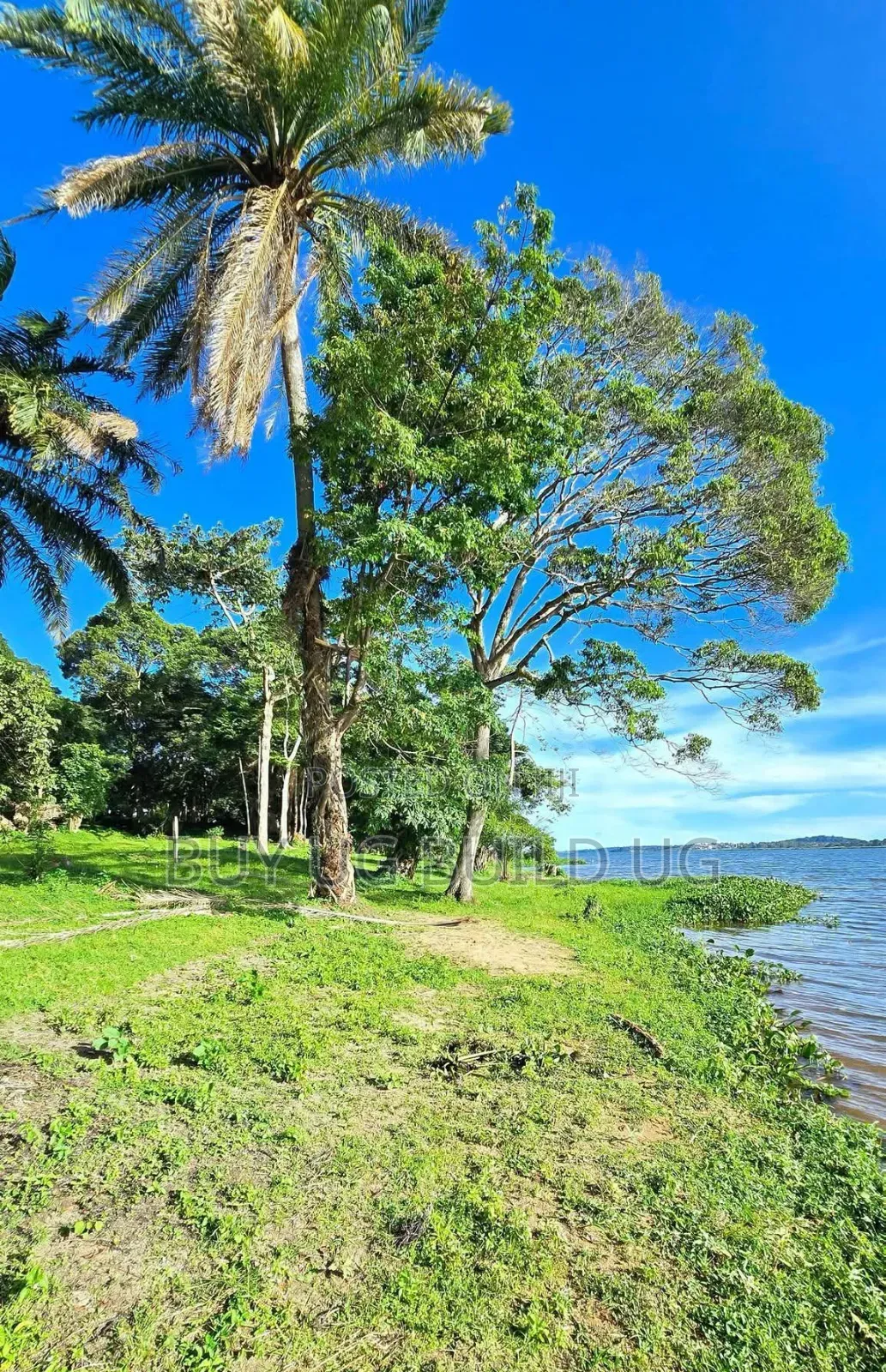 Land for Sale Kawuku Bugiri 650m Ugx)
