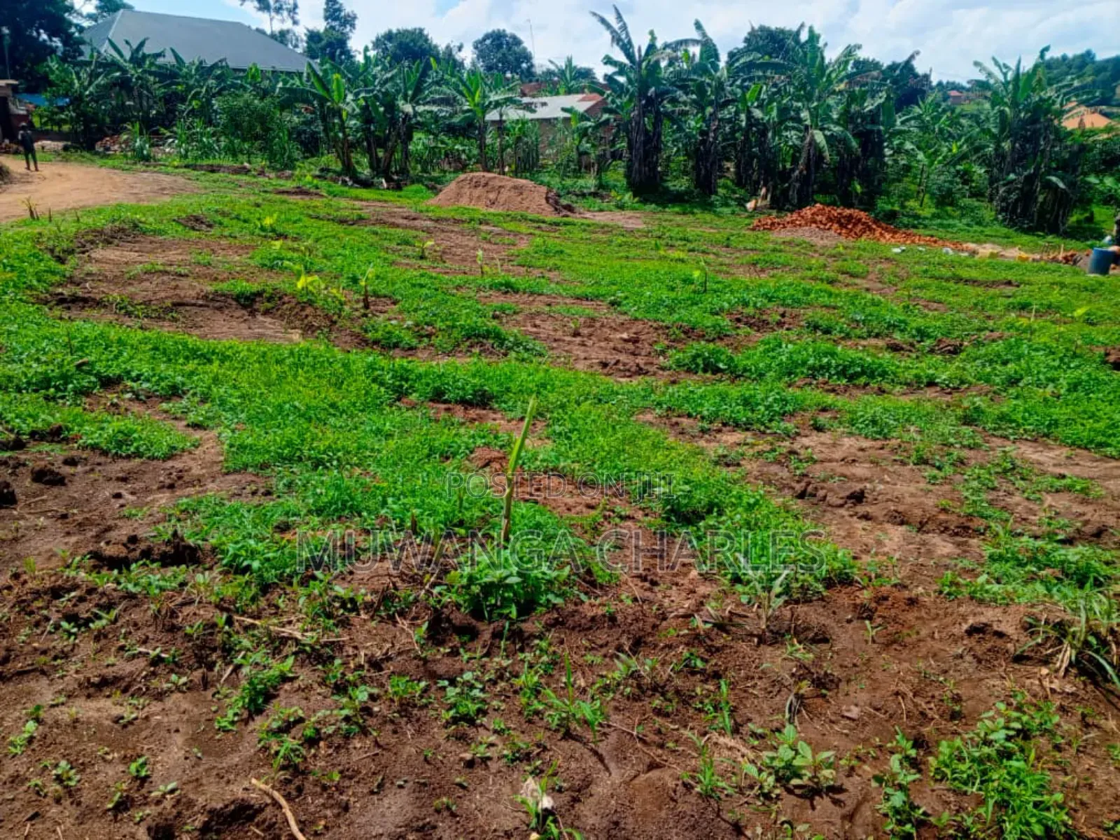 Plots on Sale in Mattuga Kavule