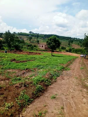 Plots on Sale in Mattuga Kavule