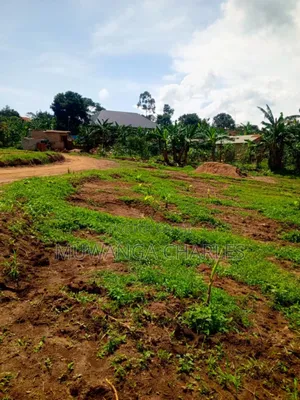 Plots on Sale in Mattuga Kavule