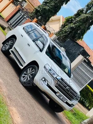 Car Rental