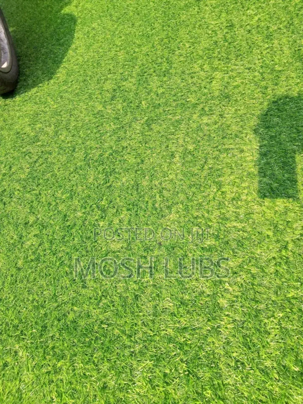 Balcony and Lawns Artificial Grass Carpets
