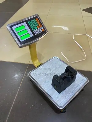 Portable Platform Weighing Scale 100kg Weigh Accurate Weighing Scale