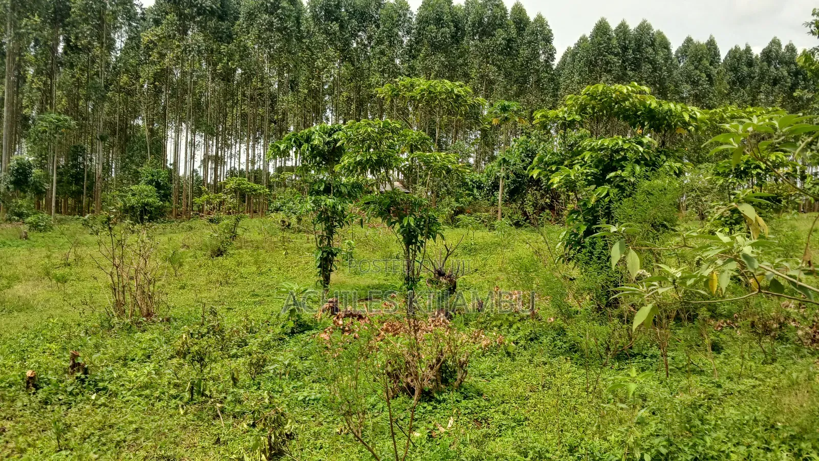 Land for Sale