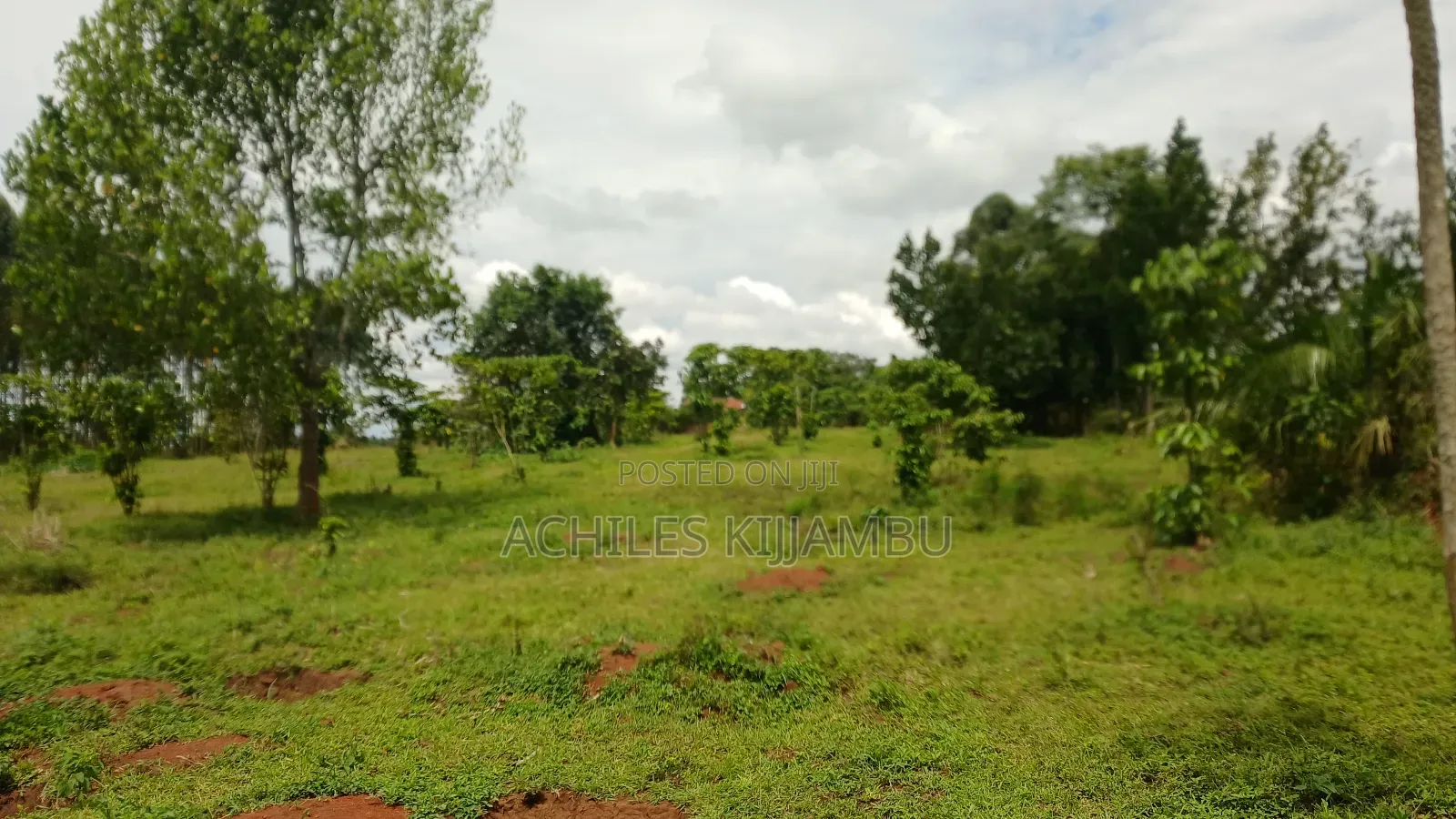 Land for Sale