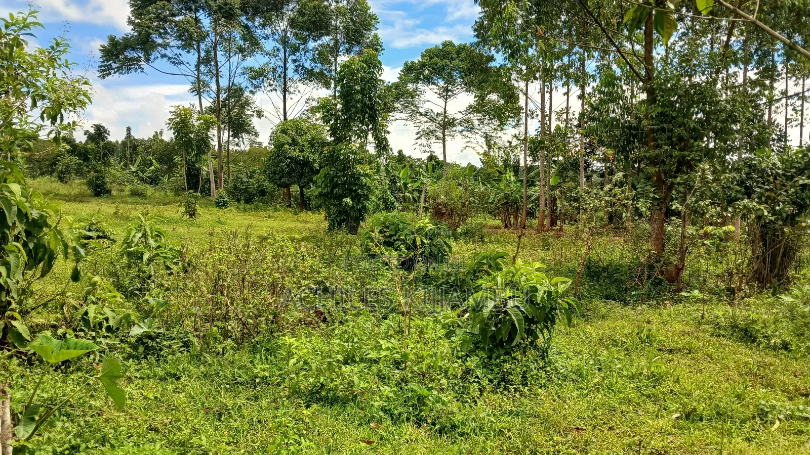 Land for Sale