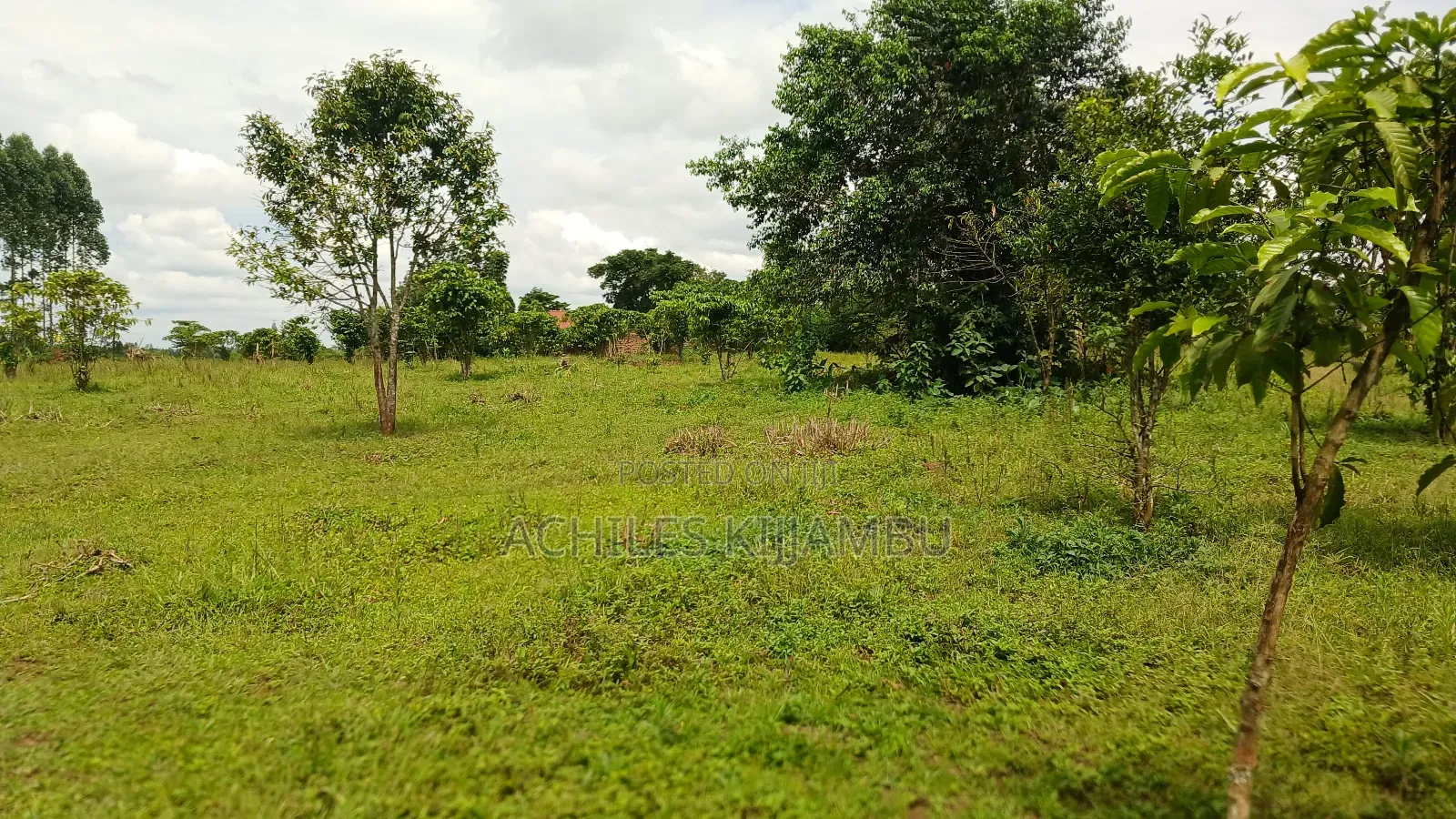 Land for Sale