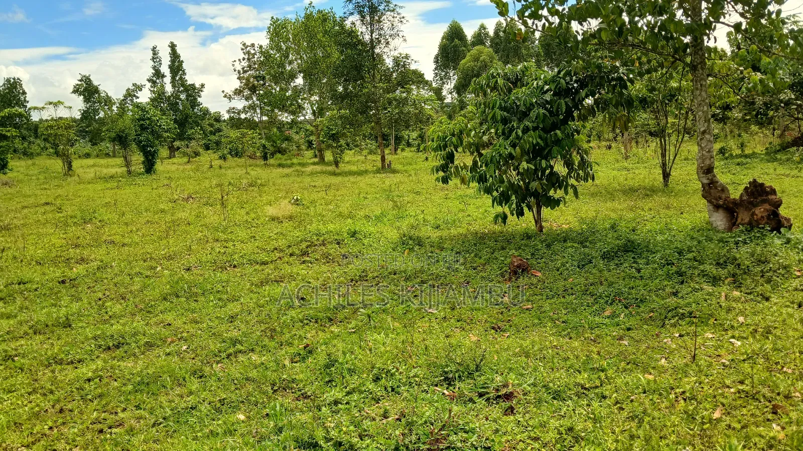 Land for Sale