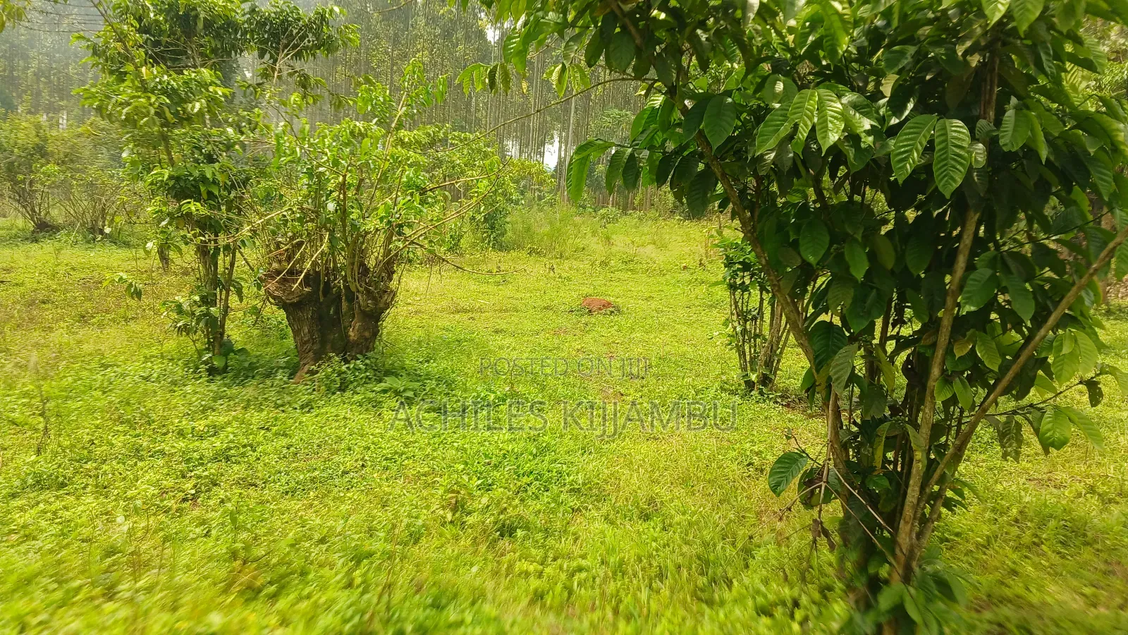 Land for Sale