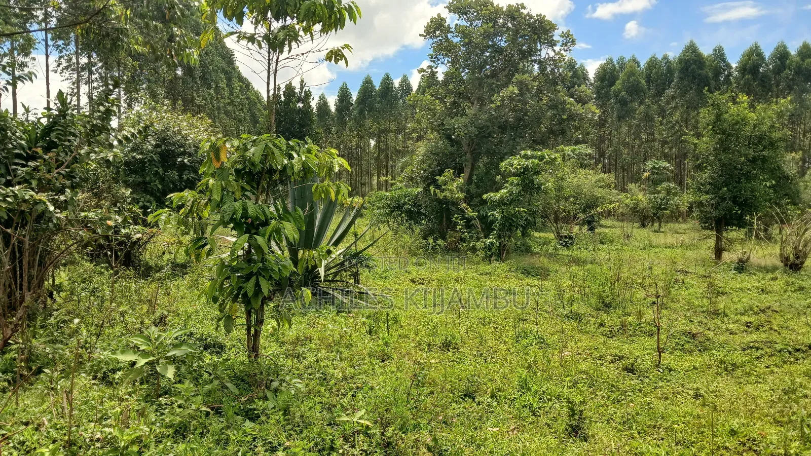 Land for Sale
