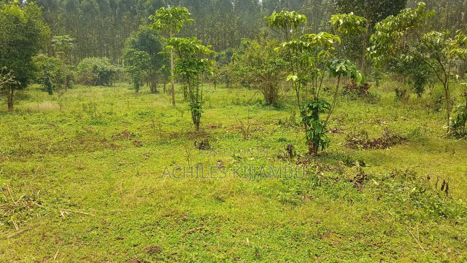 Land for Sale