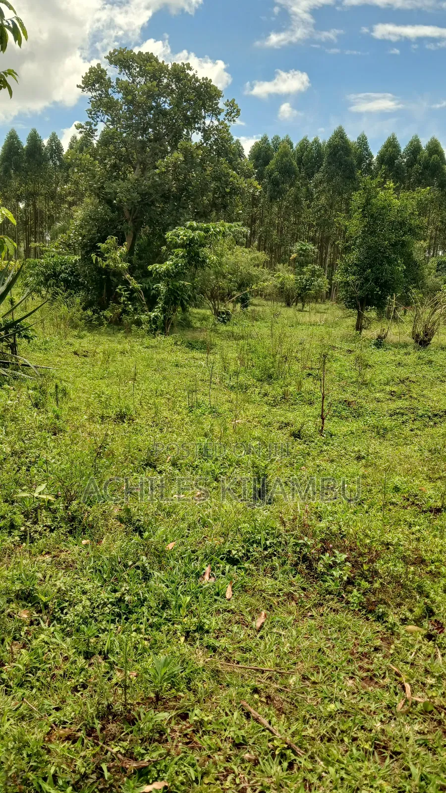 Land for Sale