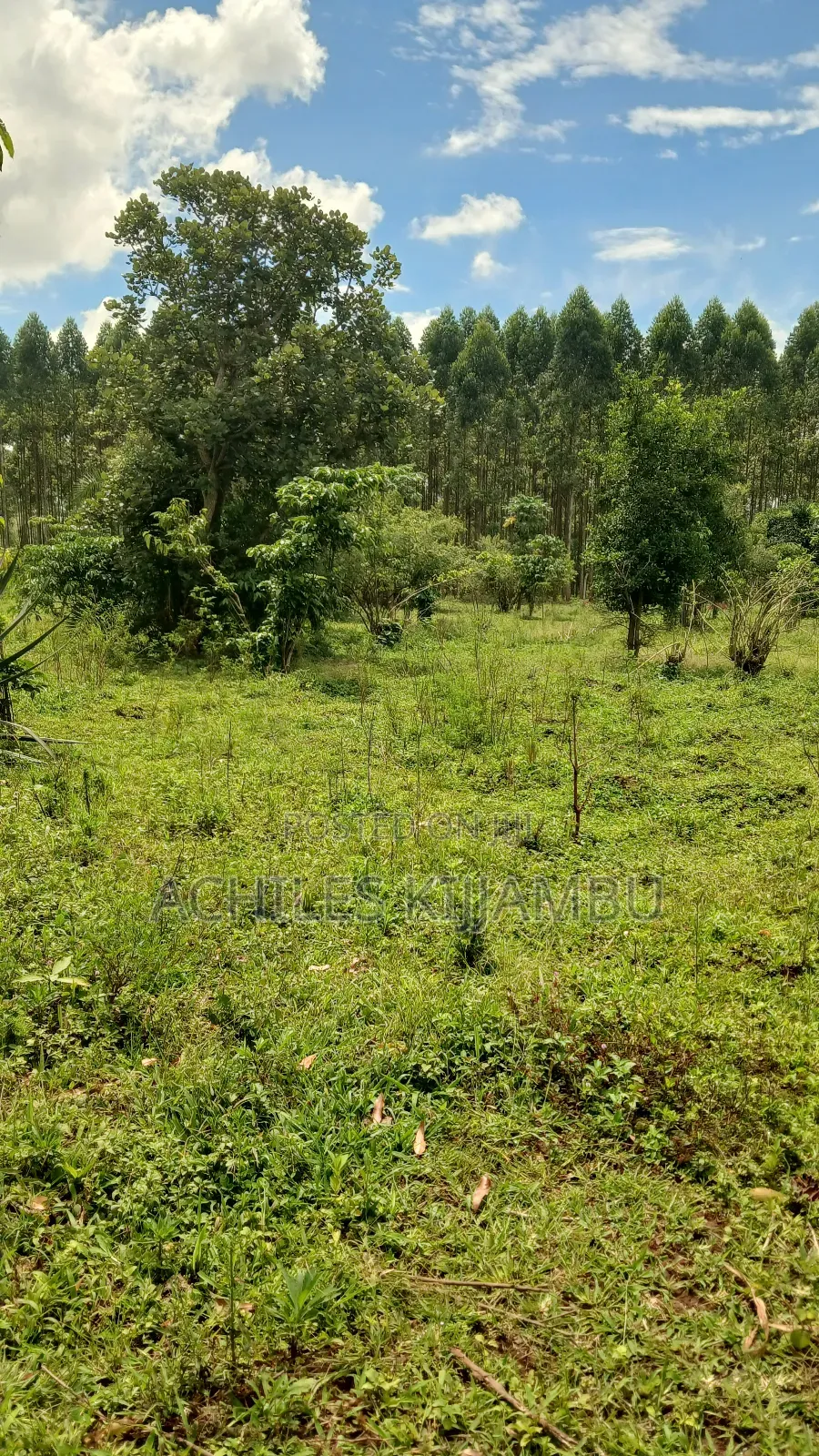 Land for Sale