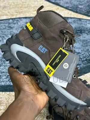 Steel Toe Cat Shoes