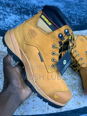 Steel Toe Cat Shoes