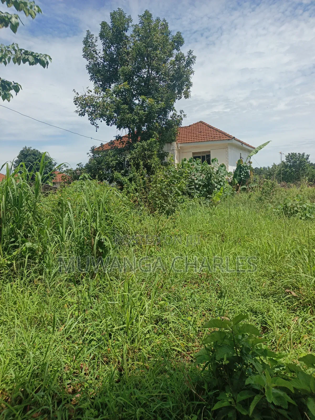 1.5acres Oon Sale in Kyanja