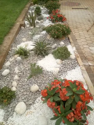 Rock Gardening