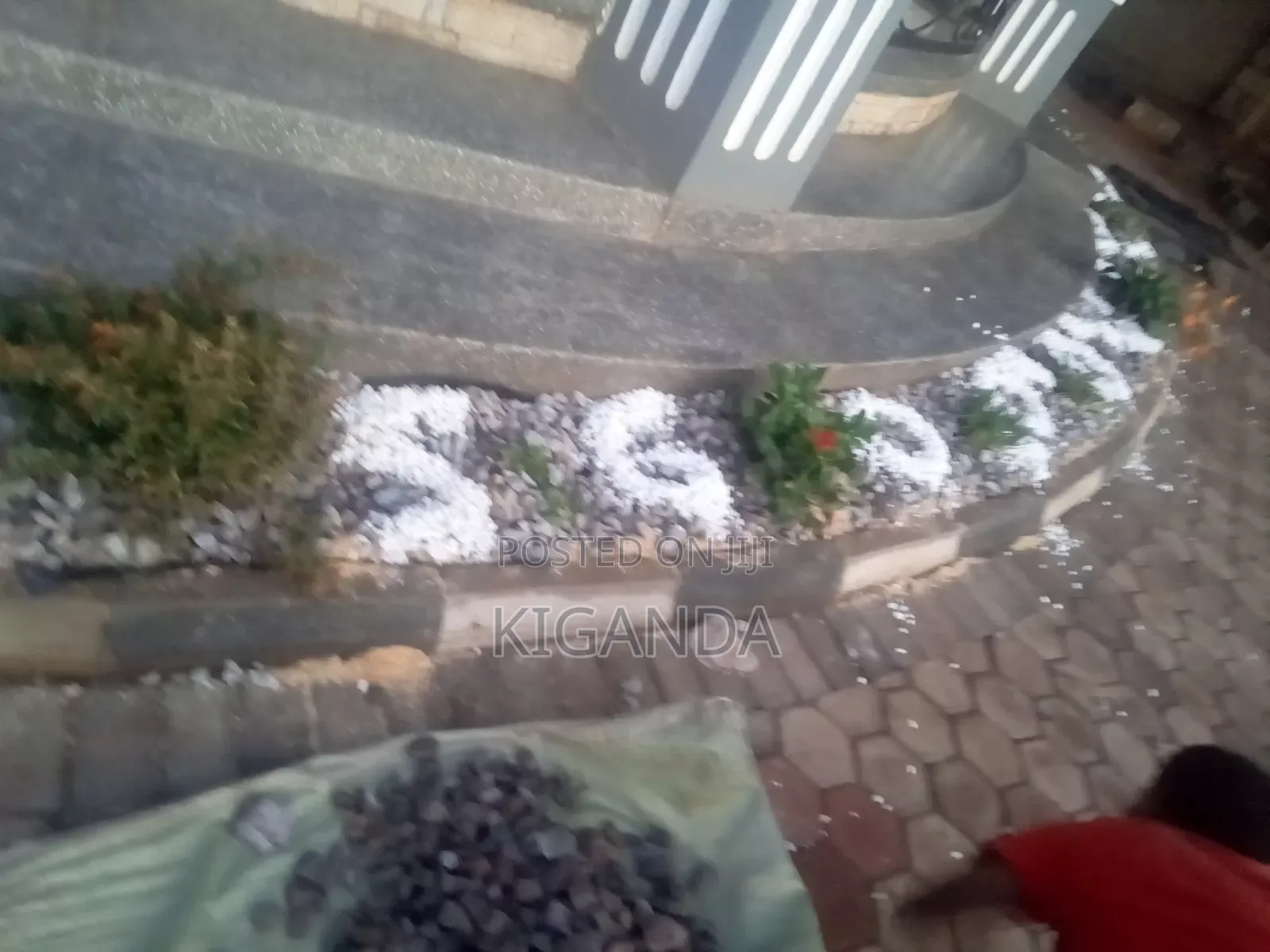 Rock Gardening