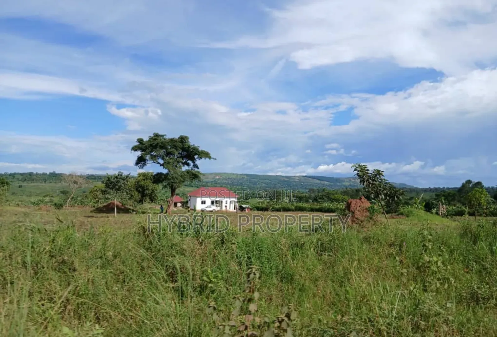 Prime 49acres of Land for Sale at Busunju Along Hoima Road V