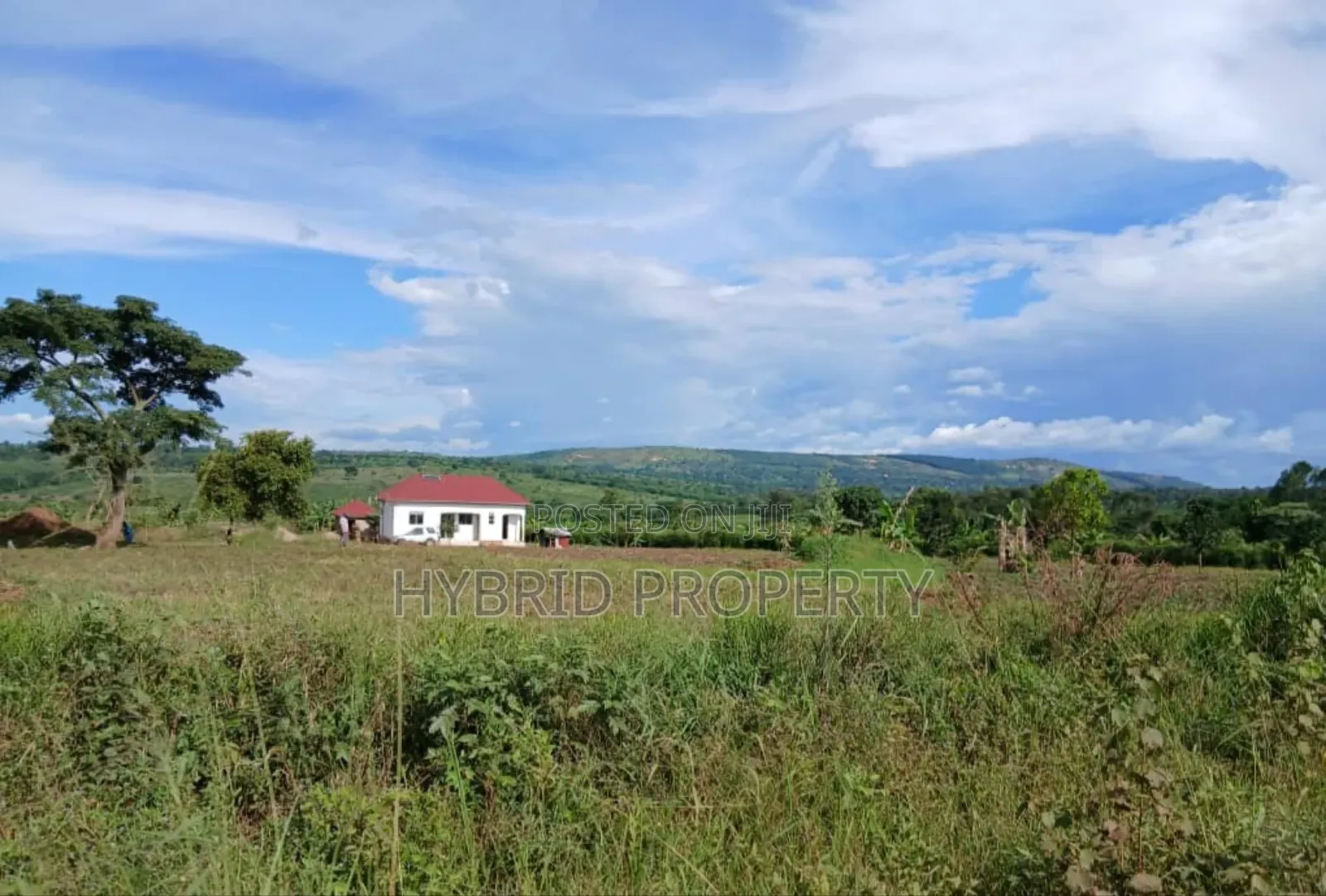 Prime 49acres of Land for Sale at Busunju Along Hoima Road V