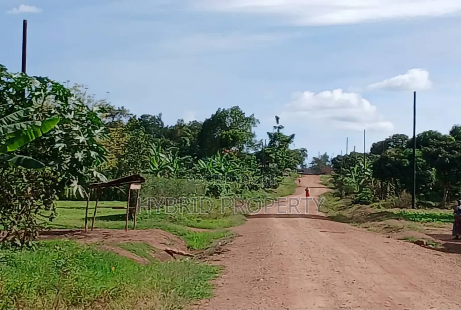 Prime 49acres of Land for Sale at Busunju Along Hoima Road V