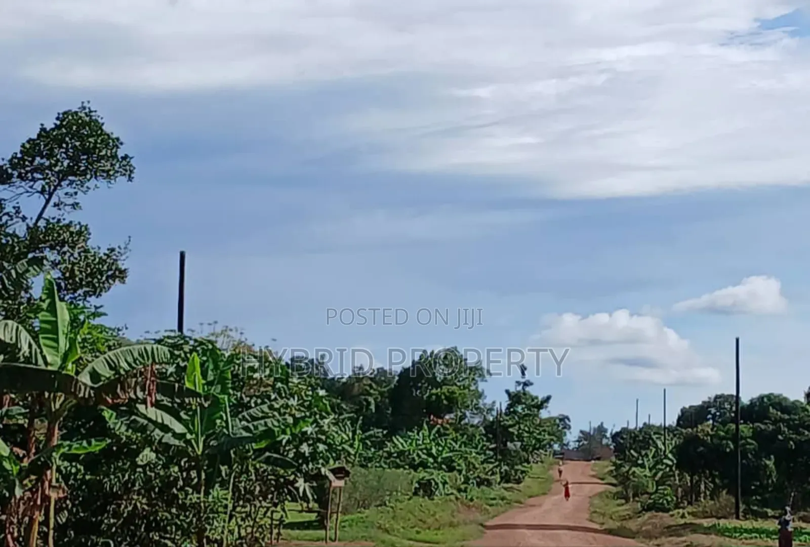 Prime 49acres of Land for Sale at Busunju Along Hoima Road V