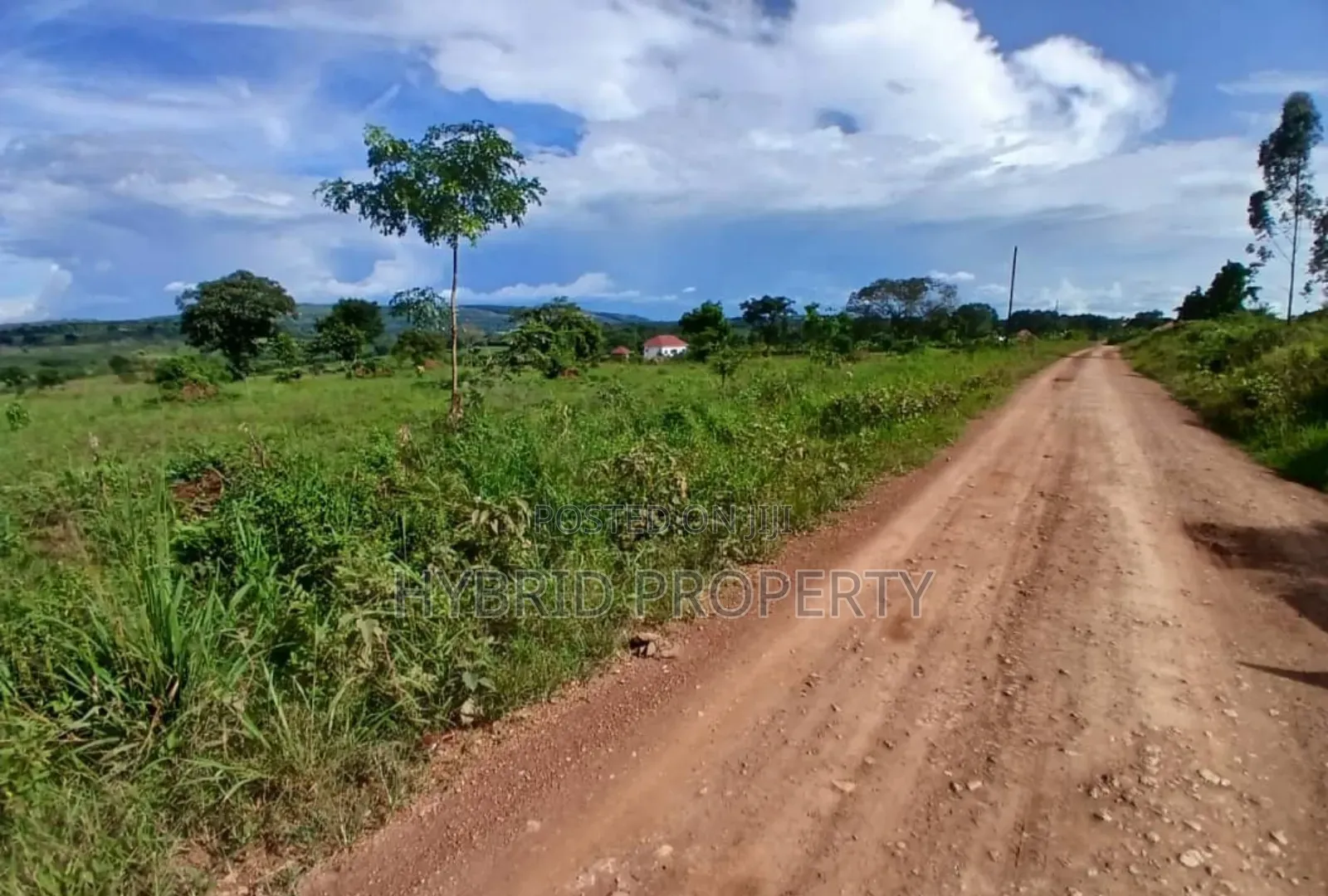 Prime 49acres of Land for Sale at Busunju Along Hoima Road V