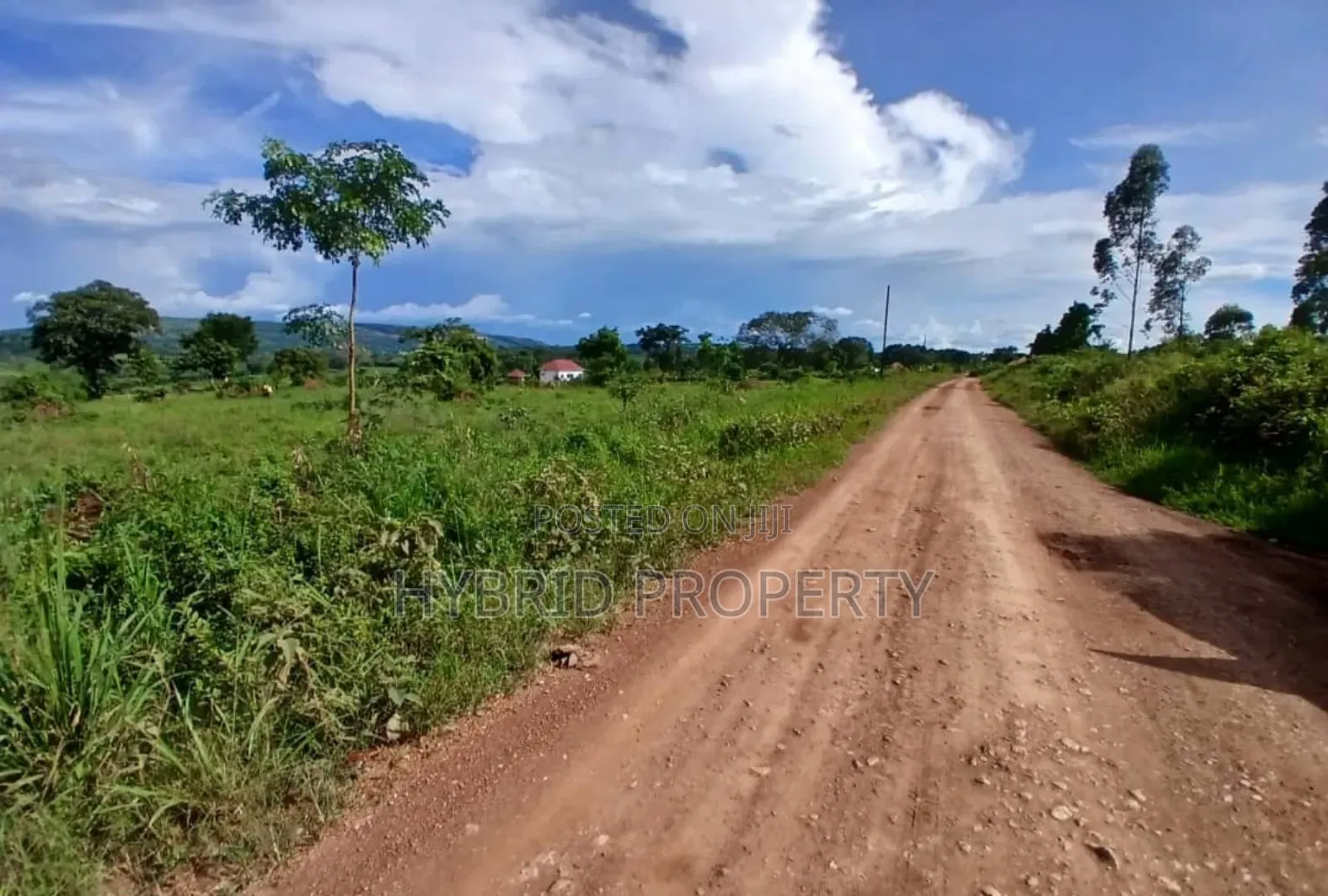 Prime 49acres of Land for Sale at Busunju Along Hoima Road V