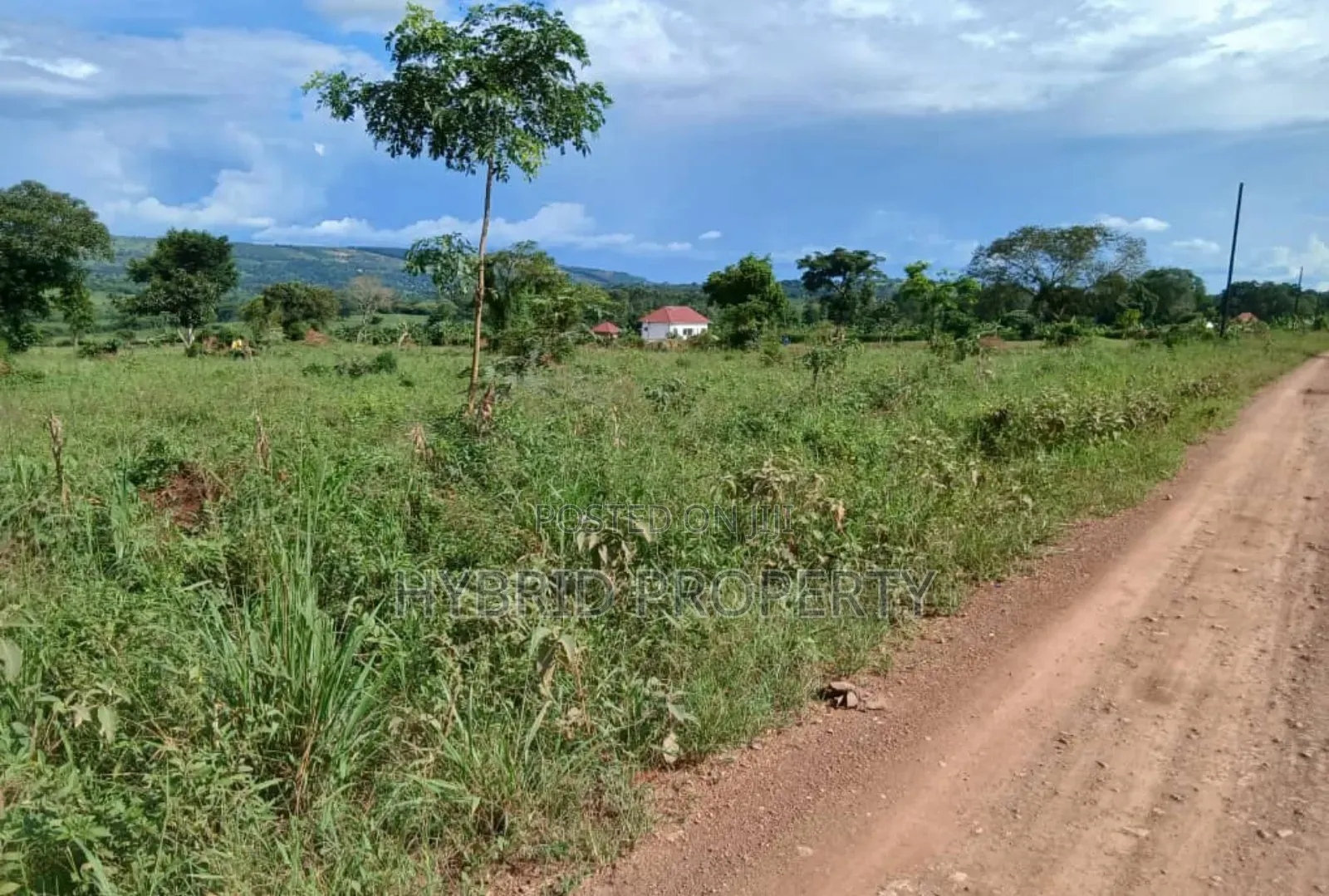 Prime 49acres of Land for Sale at Busunju Along Hoima Road V
