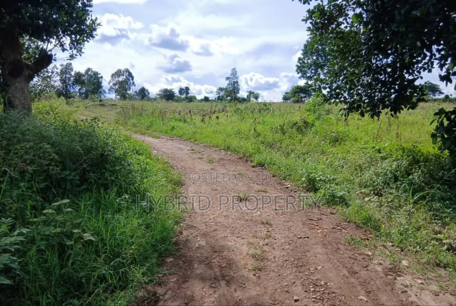 Prime 49acres of Land for Sale at Busunju Along Hoima Road V