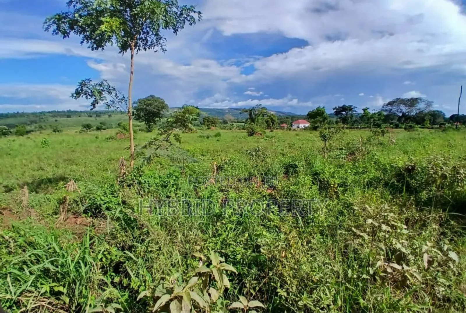 Prime 49acres of Land for Sale at Busunju Along Hoima Road V