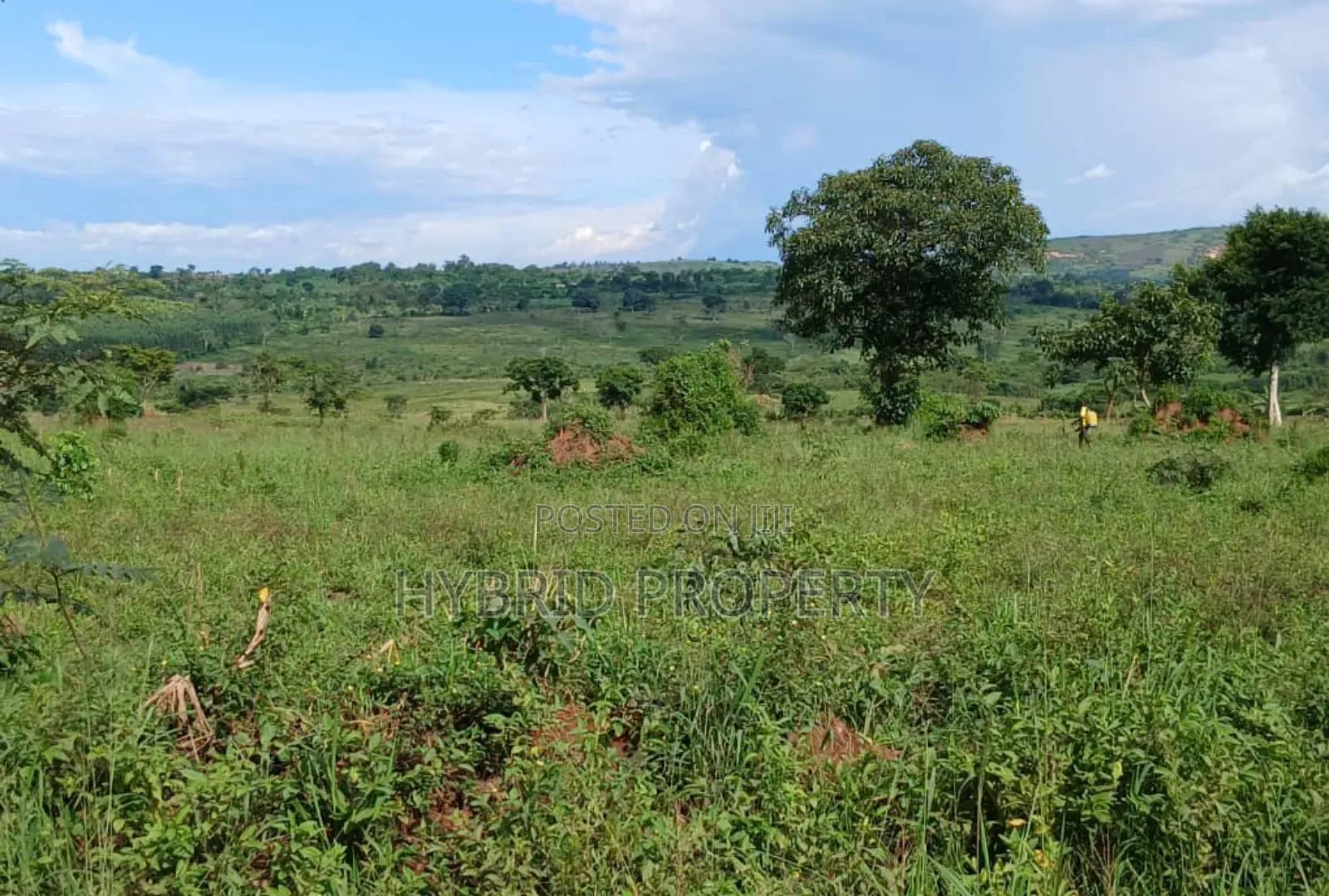 Prime 49acres of Land for Sale at Busunju Along Hoima Road V