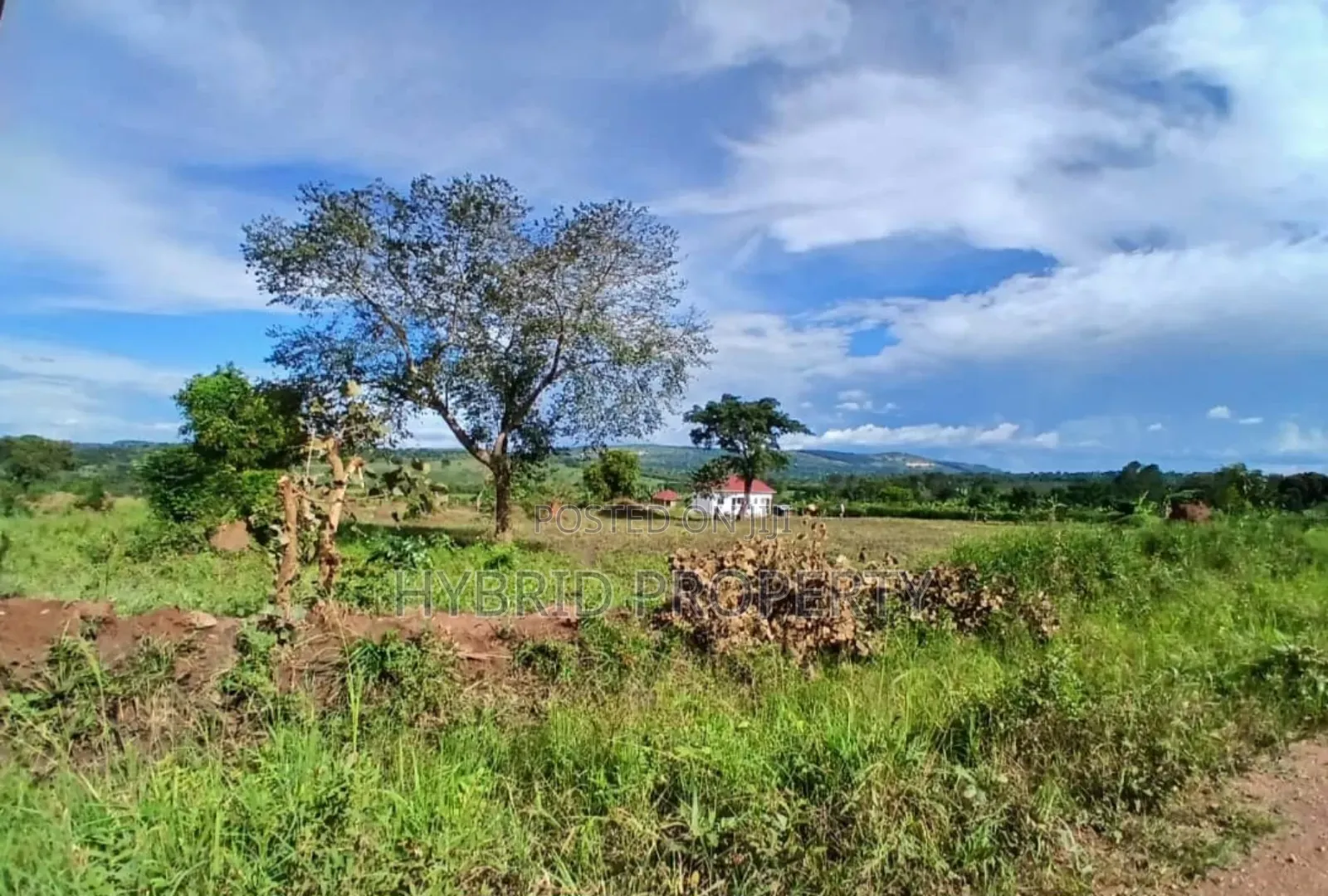 Prime 49acres of Land for Sale at Busunju Along Hoima Road V