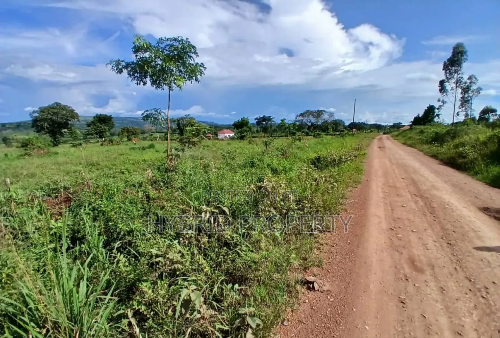 Prime 49acres of Land for Sale at Busunju Along Hoima Road V