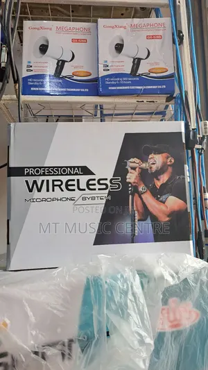 Shure Professional Wireless Microphone