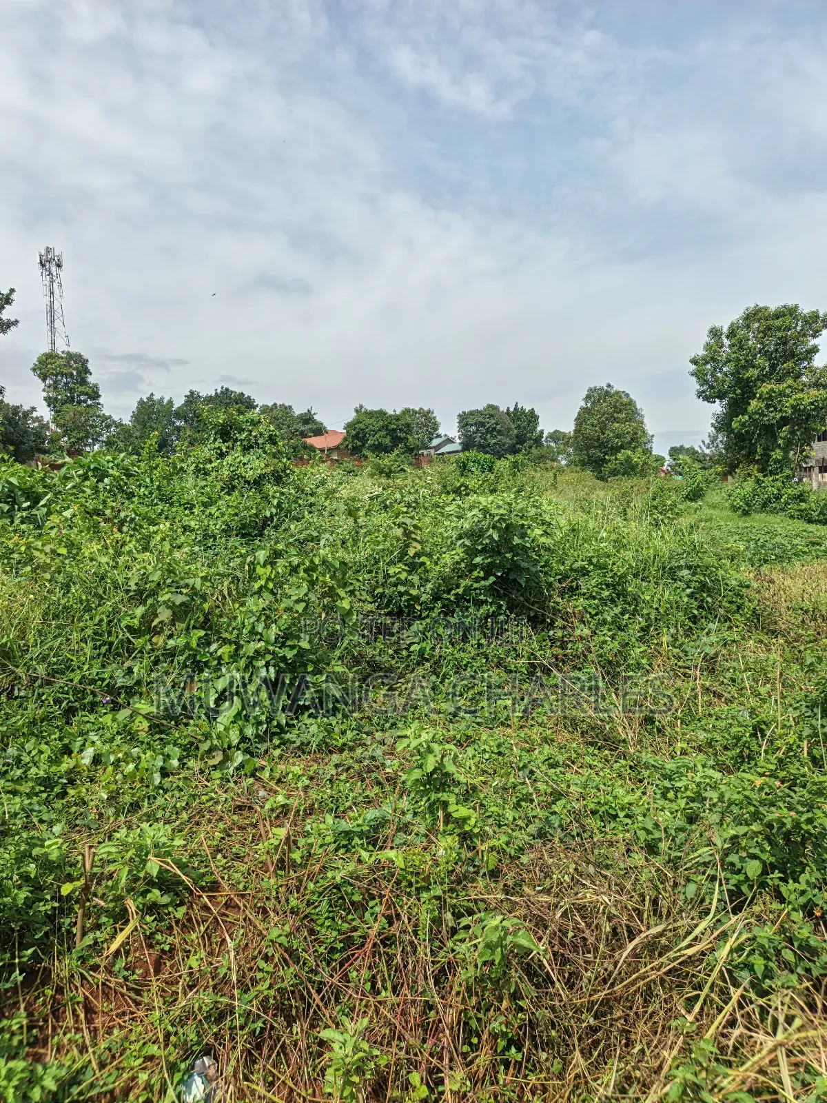 1acre of Land on Sale in Kulambilo Kisaasi