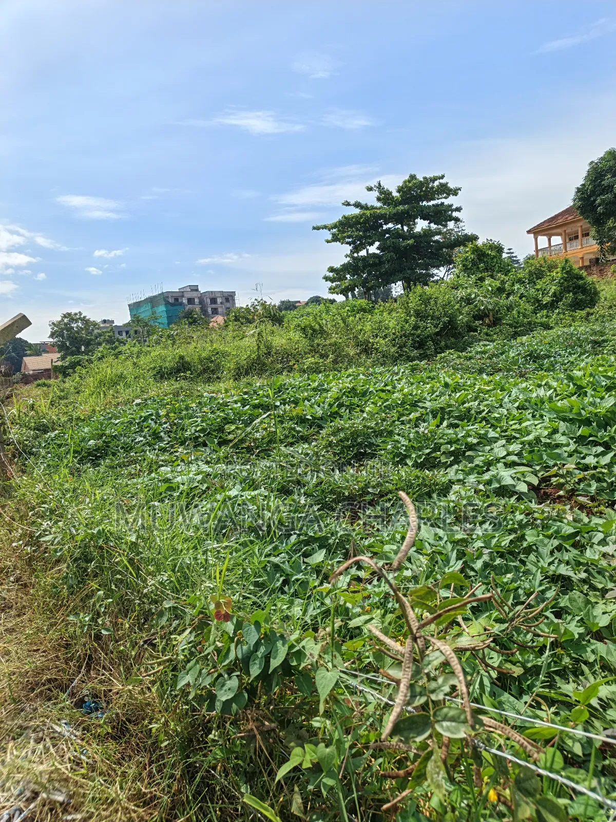 1acre of Land on Sale in Kulambilo Kisaasi