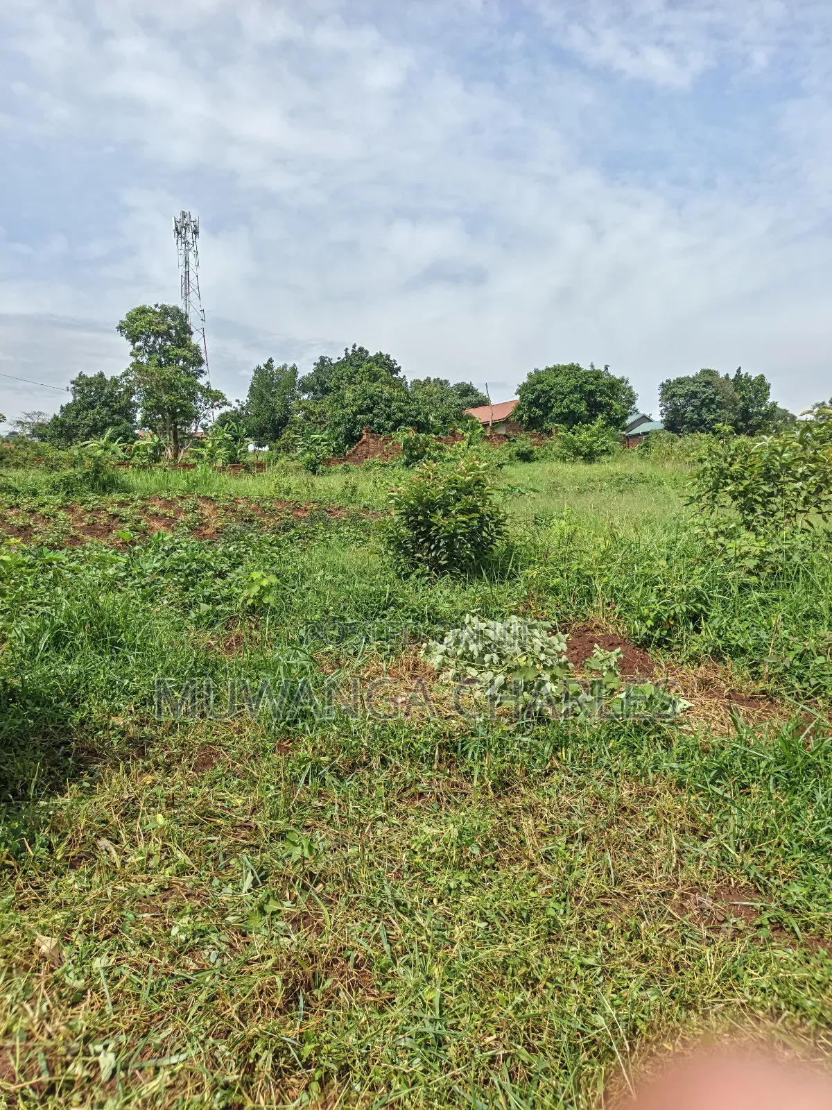 1acre of Land on Sale in Kulambilo Kisaasi