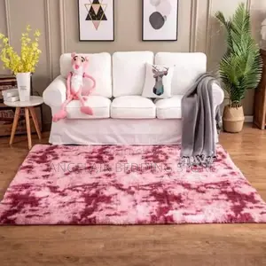 Modern Luxury Fluffy Carpets