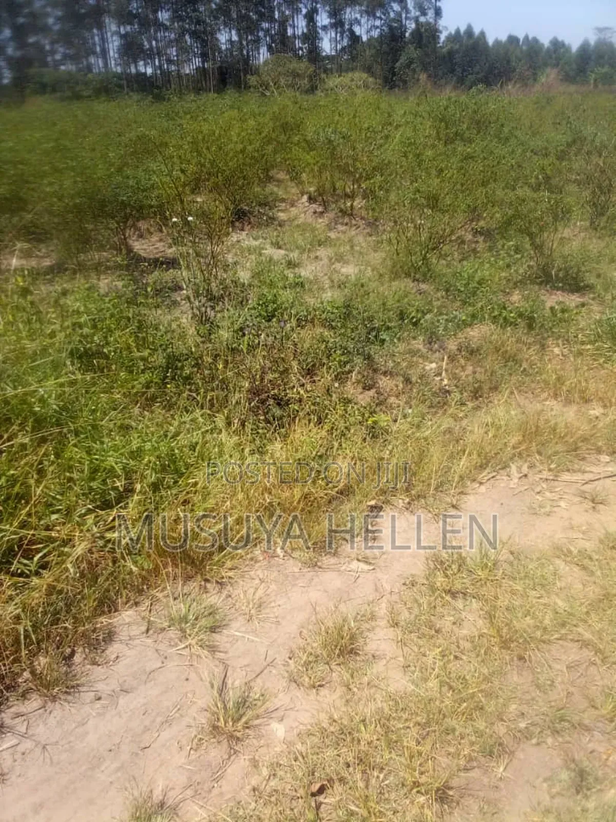 Farm Land for Sale