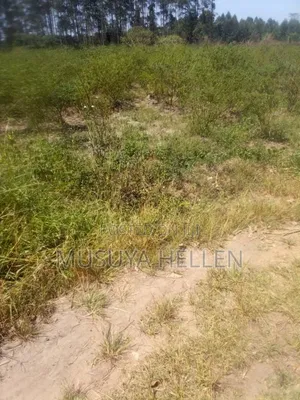 Farm Land for Sale