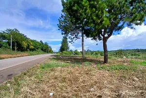 145acres Of Commercial Tarmac Land For Sale At Busunju Along Hoima Rd.