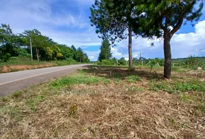 145acres Of Commercial Tarmac Land For Sale At Busunju Along Hoima Rd.