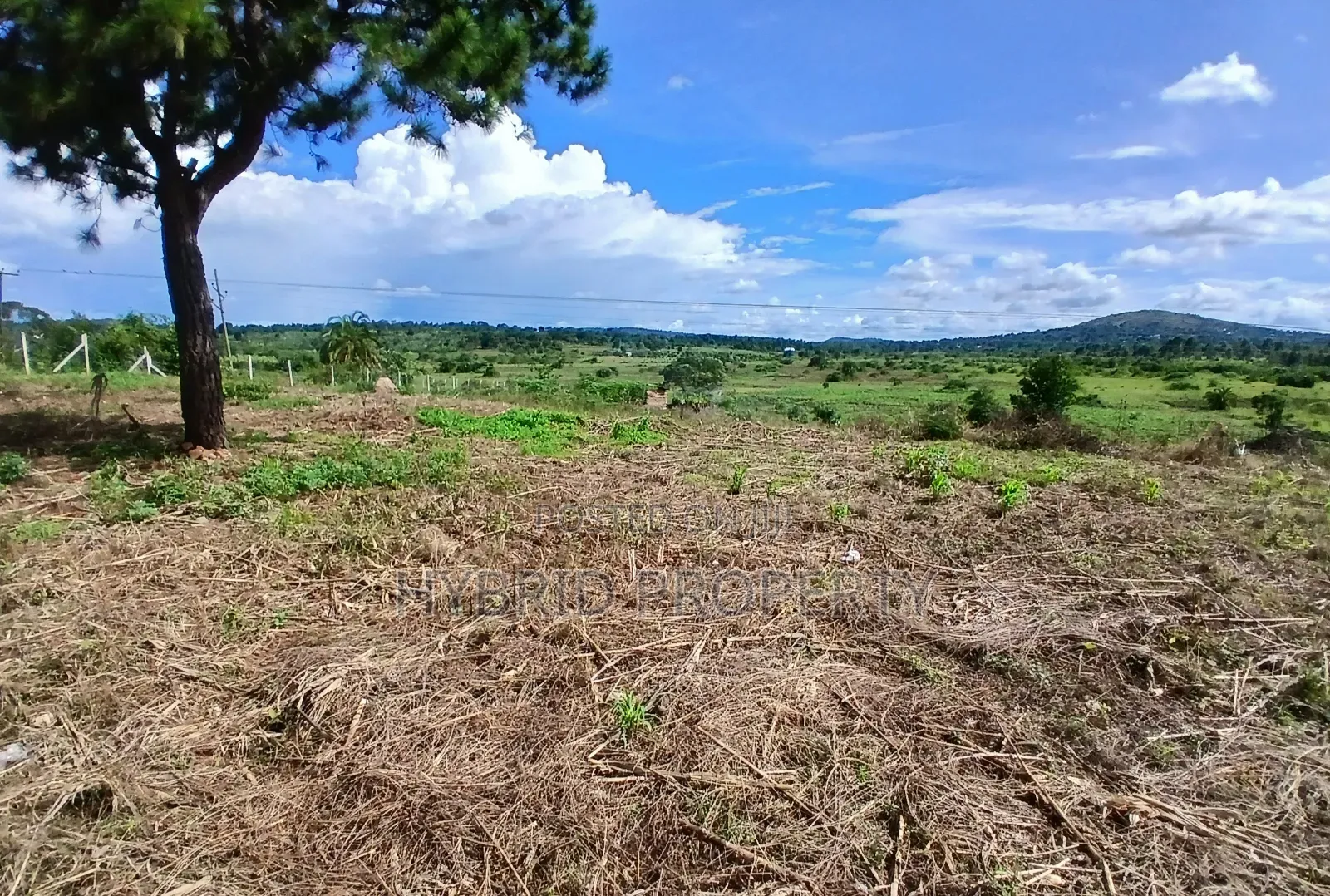 145acres Of Commercial Tarmac Land For Sale At Busunju Along Hoima Rd.
