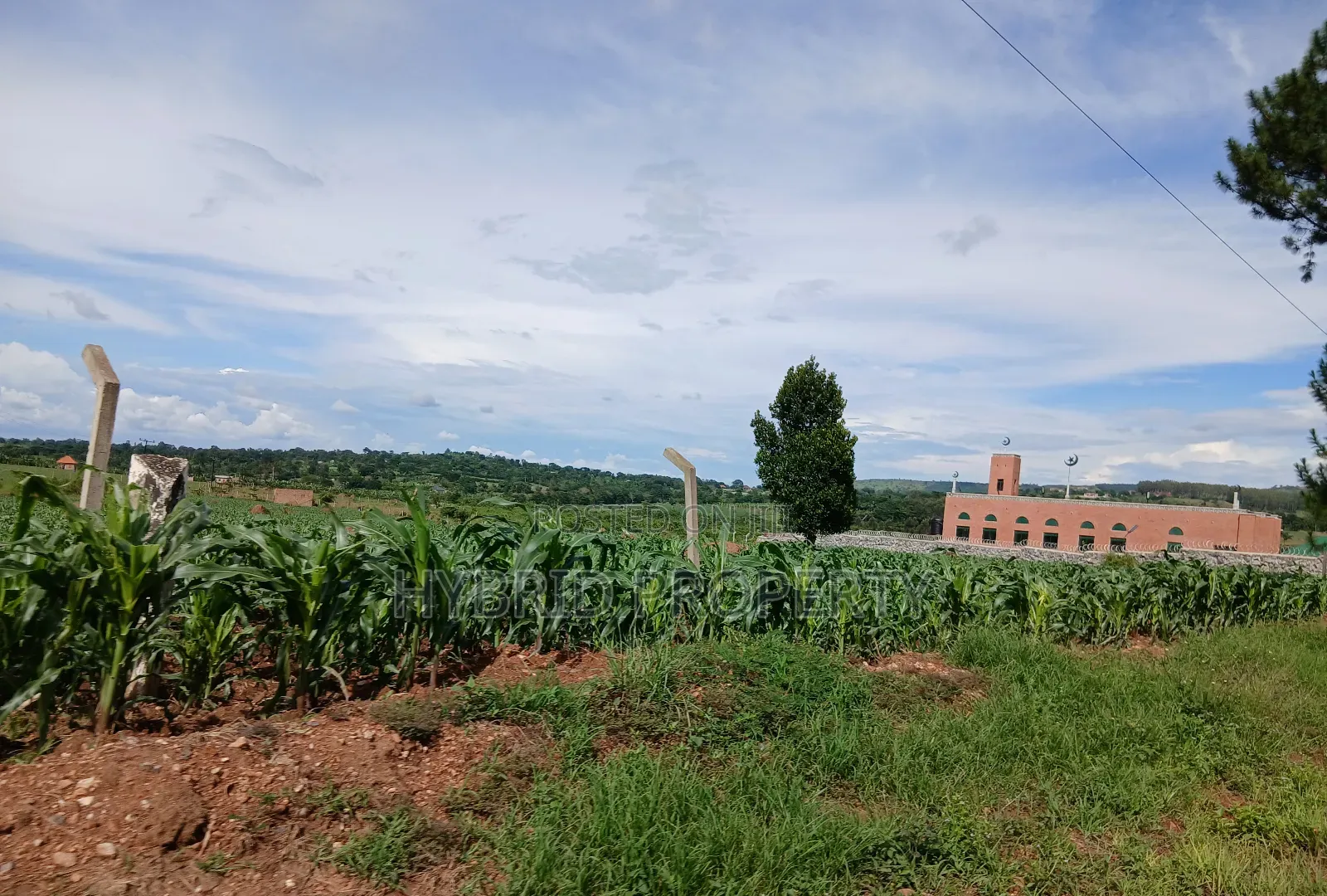 145acres Of Commercial Tarmac Land For Sale At Busunju Along Hoima Rd.