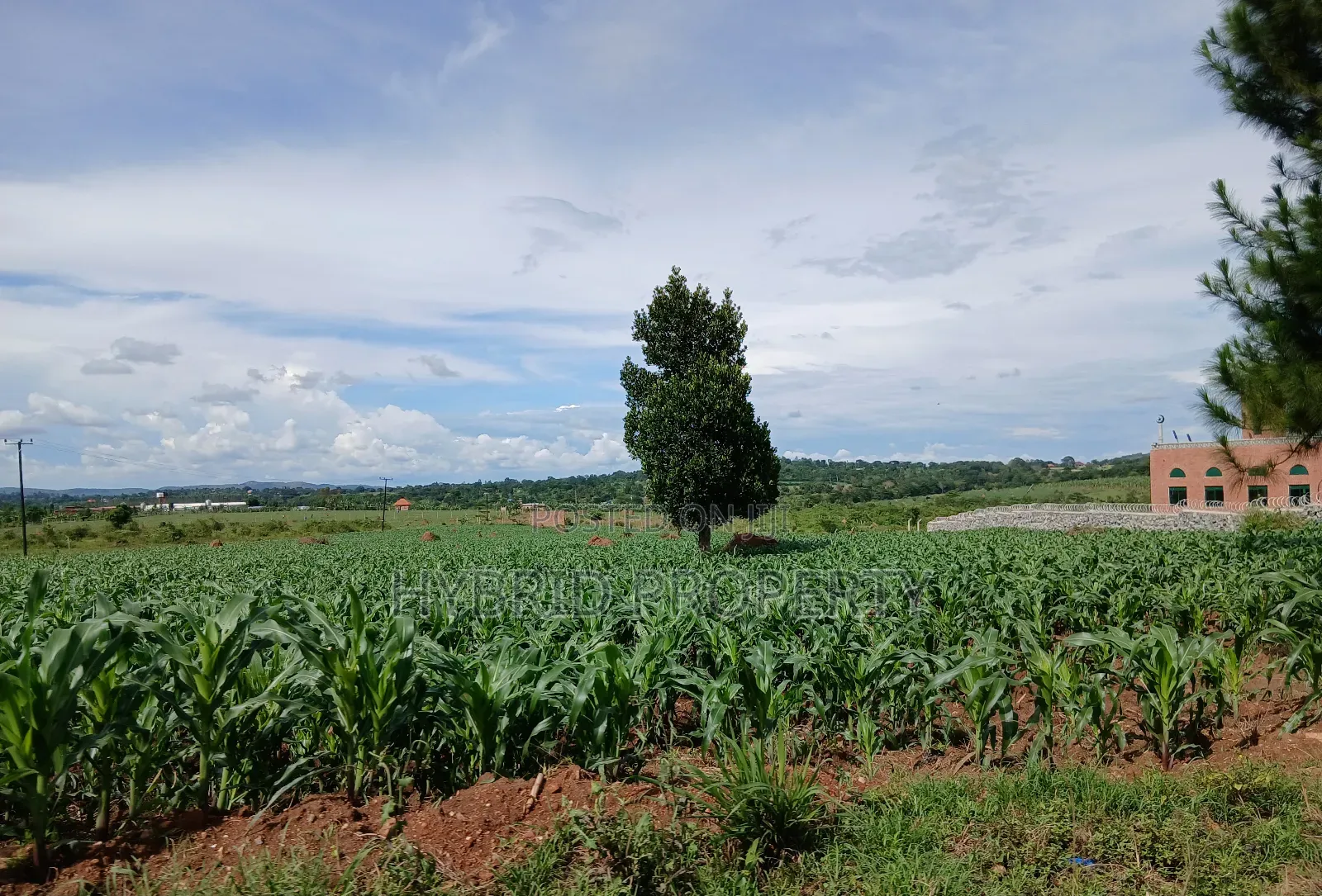 145acres Of Commercial Tarmac Land For Sale At Busunju Along Hoima Rd.